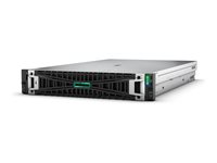 HPE ProLiant DL380 Gen11 - kan monteras i rack Xeon Gold 5515+ 3.2 GHz - 64 GB - SSD 2 x 480 GB P81785-425