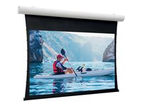 Da-Lite Tensioned Elpro Concept - Projektorduk - väggmontering, takmontering - motoriserad - 230 V - 116" (295 cm) - 16:10 - HD Progressive 1.3 - RAL 9016 10101183