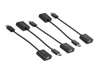 StarTech.com 5-Pack DisplayPort to VGA Adapter, DisplayPort 1.2 HBR2 to VGA Active Adapter, Digital DP to Analog VGA Video Converter Dongle, DisplayPort Male to VGA Female Monitor Adapter - Active DP 1.2 to VGA (DP2VGA3X5) - Videokort - DisplayPort (hane) till HD-15 (VGA) (hona) - DisplayPort 1.2 - 10 cm - stöd för 1080p, aktiv - svart (paket om 5) DP2VGA3X5