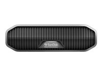 SanDisk Professional - Hårddisk - Enterprise - 4 TB - extern (desktop) - USB 3.2 Gen 2 (USB-C kontakt) - 7200 rpm SDPHF1A-004T-MBAAD