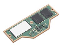 Lenovo - LPDDR5X - modul - 32 GB - LPCAMM2 - 8533 MT/s - grön - för ThinkPad P1 Gen 8 21Q8, 21Q9; T1g Gen 8 21TD, 21TE 4X71U38631