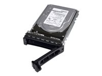 Dell - Hårddisk - 2 TB - hot-swap - 3.5" - SAS 12Gb/s - nearline - 7200 rpm - för PowerEdge C6420 (3.5"); Storage NX3240 400-ATJX