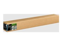 Epson Fine Art II - Bomull - slät matt - 490 mikron - benvit - Rulle (111,8 cm x 15 m) - 300 g/m² - 1 rulle (rullar) box - lumppapper C13S450265NQ