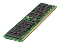HPE SmartMemory - DDR5 - modul - 256 GB - DIMM 288-pin - 5600 MHz / PC5-44800 - 1.1 V - 3DS-registrerad - ECC P64710-B21