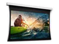 Da-Lite Tensioned DescenderPro - Projektorduk - takmonterbar - motoriserad - 97" (246 cm) - 16:9 - HD Progressive 1.3 - RAL 9016 10104651