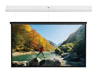 Da-Lite DescenderPro - Projektorduk - takmontering - motoriserad - 230 V - 131.1" (333 cm) - 16:9 - Matte White - RAL 9016 10145748
