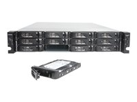 NETGEAR ReadyNAS 3220 RN32262E - NAS-server - 12 fack - 12 TB - kan monteras i rack - SATA 3Gb/s - HDD 2 TB x 6 - RAID 0, 1, 5, 6, 10, JBOD, 5 hot spare - RAM 4 GB - Gigabit Ethernet - iSCSI support - 2U RN32262E-100NES