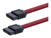 StarTech.com 12in SATA Serial ATA Cable - SATA cable - Serial ATA 150/300 - SATA (F) to SATA (F) - 1 ft - red - SATA12 - SATA-kabel - Serial ATA 150/300 - SATA (hona) till SATA (hona) - 30.5 cm - röd - för P/N: 10P6G-PCIE-SATA-CARD, 2P6G-PCIE-SATA-CARD, 4P6G-PCIE-SATA-CARD, 6P6G-PCIE-SATA-CARD SATA12