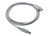 HP - USB-kabel - USB (hane) till USB typ B (hane) - 5 m - för Color LaserJet 2820, 2840; DesignJet 10, 130, 20, 50, 500, 5500, 800 C2392A